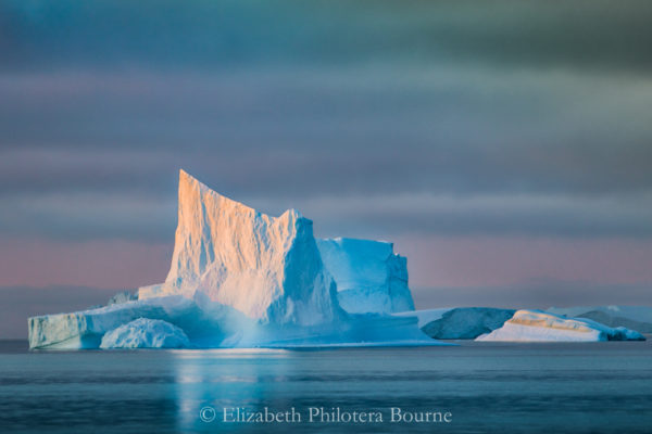Iceberg with blue shadows and pink sunset reflections floating in serene water