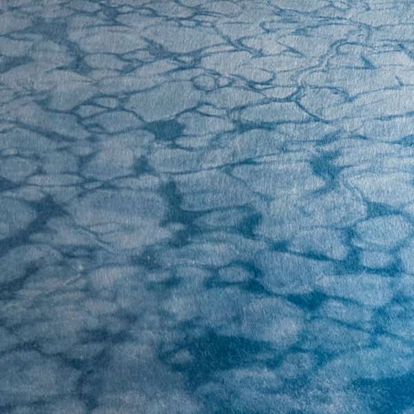 Blue photograph/cyanotype of new pancake ice floating on sea water