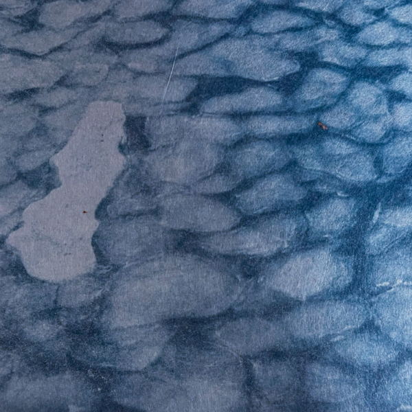 lue photograph/cyanotype of old sea ice and pancake ice in the Arctic