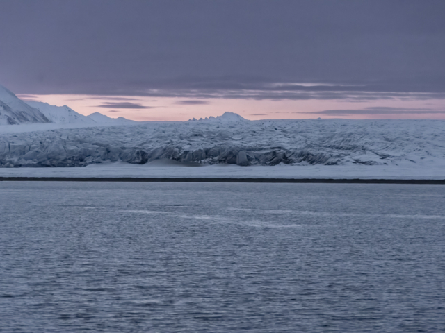 Photograph of a glacier front with a pod of belugas beneath the water