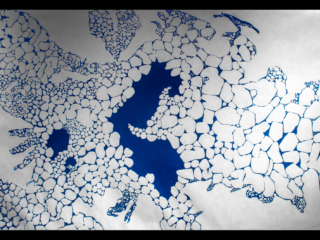 Section 4 of Loss and Change Painted sea ice becomes large islands enclosing a few polynya as it fill Hornsund fjord on Svalbard