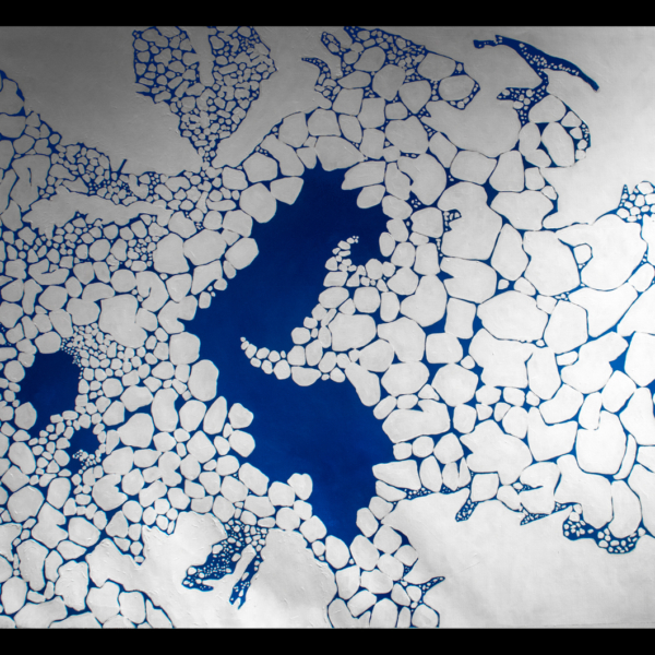 Painted sea ice becomes large islands enclosing a few polynya as it fill Hornsund fjord on Svalbard