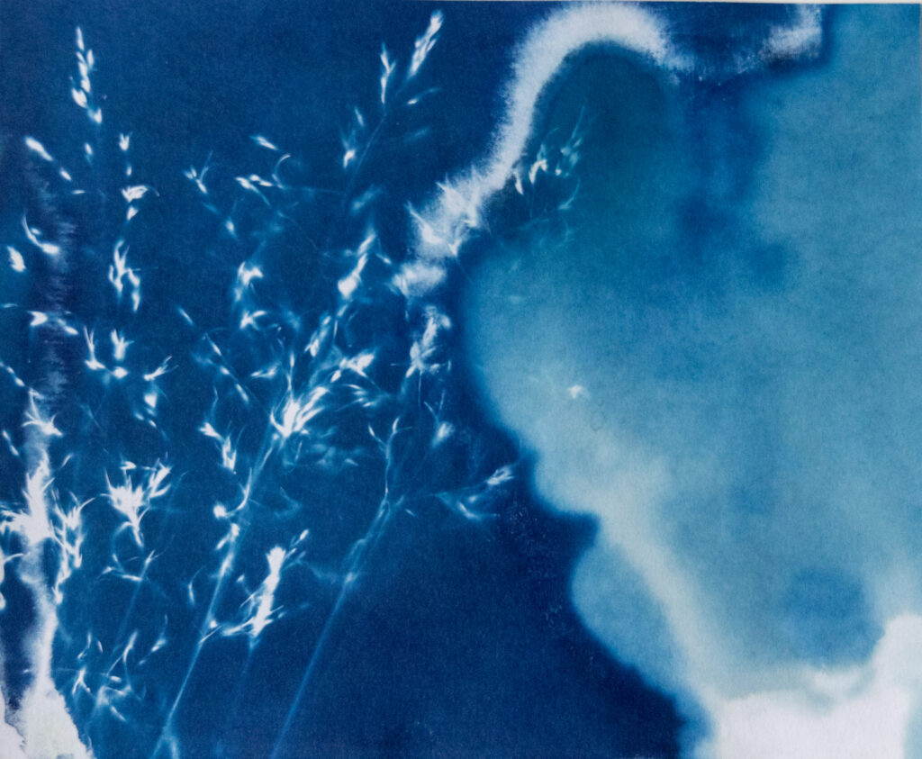 Cyanotype Photography - The Image Flow